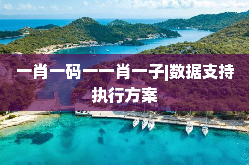 一肖一碼一一肖一子|數(shù)據(jù)支持執(zhí)行方案