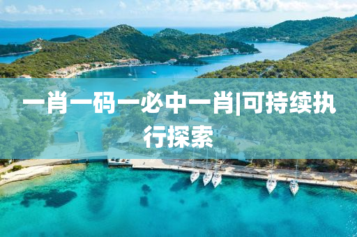 一肖一碼一必中一肖|可持續(xù)執(zhí)行探索