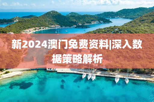 新2024澳門兔費(fèi)資料|深入數(shù)據(jù)策略解析