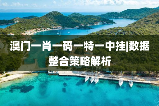 澳門一肖一碼一特一中掛|數(shù)據(jù)整合策略解析