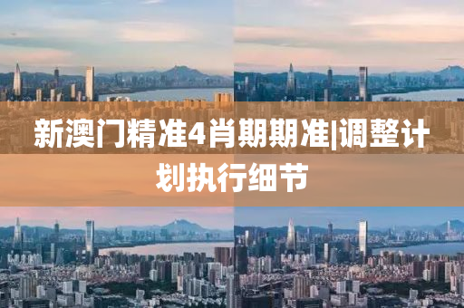 新澳門(mén)精準(zhǔn)4肖期期準(zhǔn)|調(diào)整計(jì)劃執(zhí)行細(xì)節(jié)