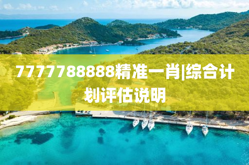 7777788888精準(zhǔn)一肖|綜合計(jì)劃評估說明