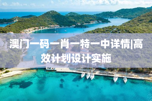 澳門一碼一肖一特一中詳情|高效計劃設(shè)計實施