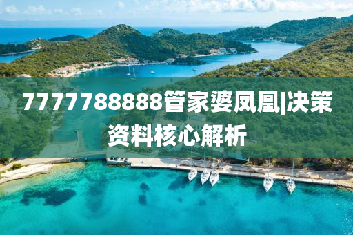 7777788888管家婆鳳凰|決策資料核心解析
