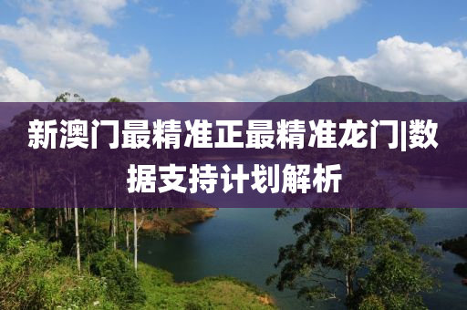 新澳門最精準(zhǔn)正最精準(zhǔn)龍門|數(shù)據(jù)支持計劃解析