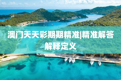 澳門天天彩期期精準|精準解答解釋定義