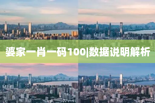 婆家一肖一碼100|數(shù)據(jù)說明解析
