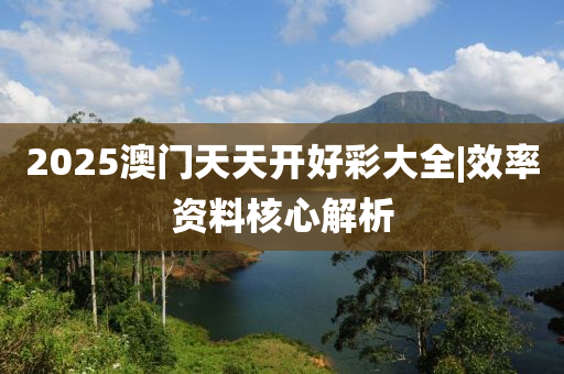 2025澳門天天開好彩大全|效率資料核心解析