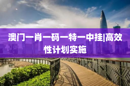 澳門(mén)一肖一碼一特一中掛|高效性計(jì)劃實(shí)施