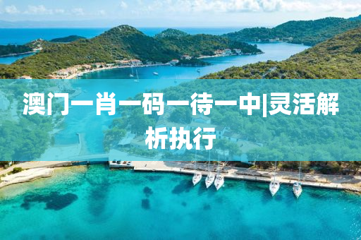 澳門(mén)一肖一碼一待一中|靈活解析執(zhí)行