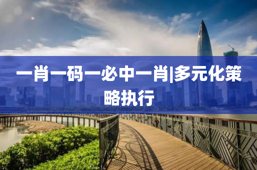 一肖一碼一必中一肖|多元化策略執(zhí)行