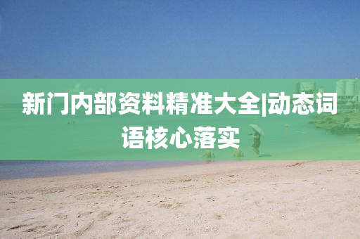 新門內(nèi)部資料精準(zhǔn)大全|動(dòng)態(tài)詞語核心落實(shí)