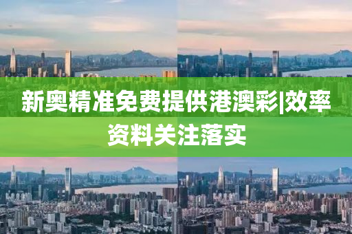 新奧精準(zhǔn)免費提供港澳彩|效率資料關(guān)注落實