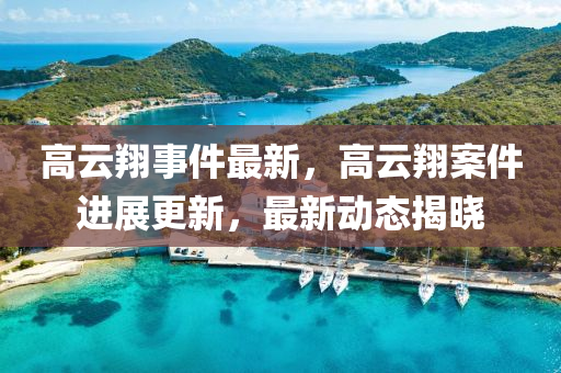 高云翔事件最新，高云翔案件進展更新，最新動態(tài)揭曉
