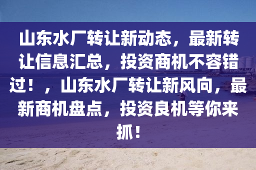 山東水廠轉(zhuǎn)讓新動(dòng)態(tài)，最新轉(zhuǎn)讓信息匯總，投資商機(jī)不容錯(cuò)過(guò)！，山東水廠轉(zhuǎn)讓新風(fēng)向，最新商機(jī)盤點(diǎn)，投資良機(jī)等你來(lái)抓！