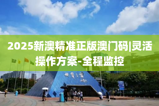 2025新澳精準(zhǔn)正版澳門(mén)碼|靈活操作方案-全程監(jiān)控