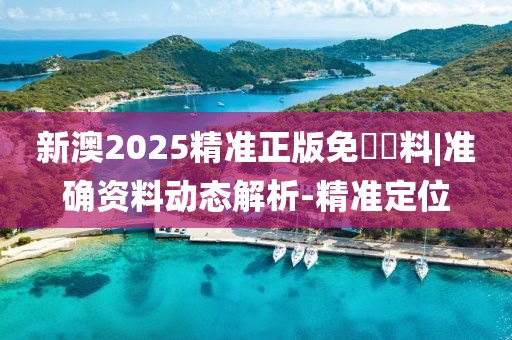 新澳2025精準(zhǔn)正版免費資料|準(zhǔn)確資料動態(tài)解析-精準(zhǔn)定位