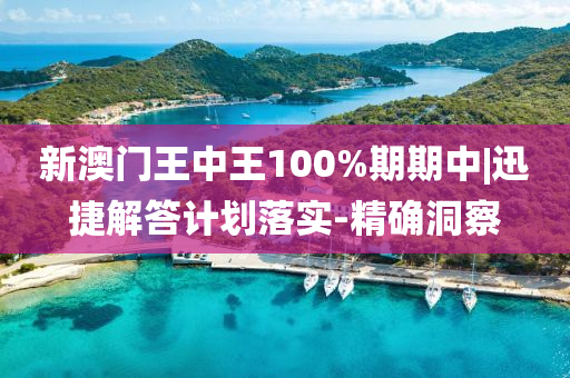 新澳門王中王 第2頁