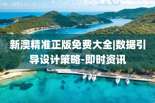 新澳精準(zhǔn)正版免費(fèi)大全|數(shù)據(jù)引導(dǎo)設(shè)計(jì)策略-即時資訊