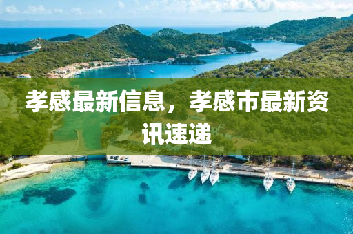 孝感最新信息，孝感市最新資訊速遞