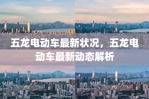 五龍電動車最新狀況，五龍電動車最新動態(tài)解析