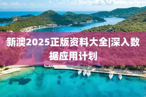 新澳2025正版資料大全|深入數(shù)據(jù)應(yīng)用計(jì)劃