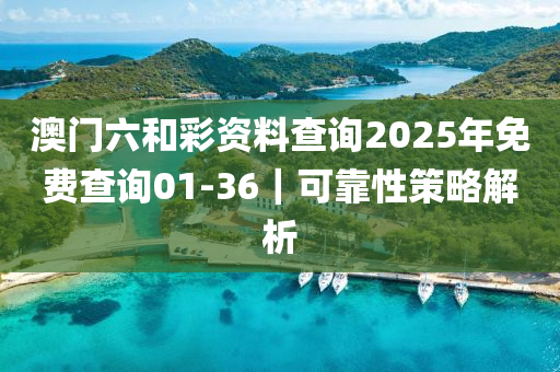 澳門(mén)六和彩資料查詢2025年免費(fèi)查詢01-36｜可靠性策略解析