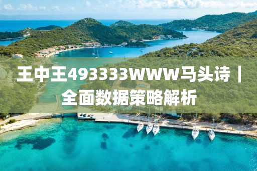 王中王493333WWW馬頭詩(shī)｜全面數(shù)據(jù)策略解析