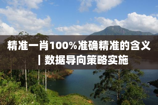 精準(zhǔn)一肖100%準(zhǔn)確精準(zhǔn)的含義｜數(shù)據(jù)導(dǎo)向策略實(shí)施