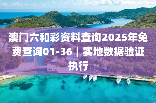 澳門六和彩資料查詢2025年免費(fèi)查詢01-36｜實(shí)地?cái)?shù)據(jù)驗(yàn)證執(zhí)行