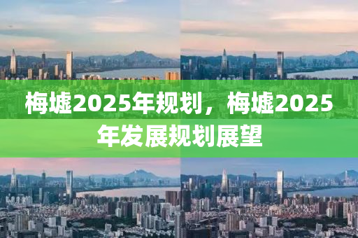 梅墟2025年規(guī)劃，梅墟2025年發(fā)展規(guī)劃展望