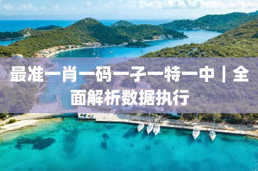 最準一肖一碼一孑一特一中｜全面解析數(shù)據(jù)執(zhí)行