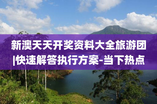 新澳天天開獎資料大全旅游團|快速解答執(zhí)行方案-當下熱點