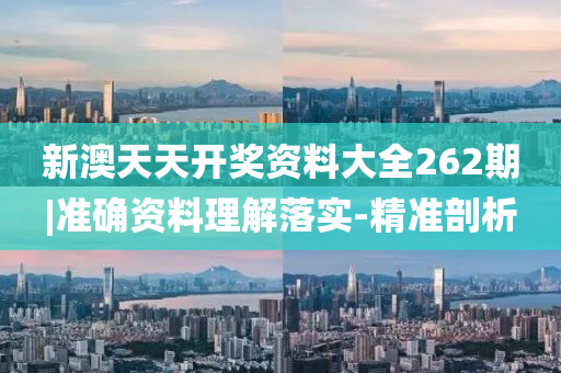 新澳天天開獎資料大全262期|準確資料理解落實-精準剖析