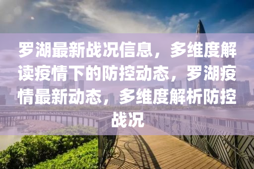 羅湖最新戰(zhàn)況信息，多維度解讀疫情下的防控動(dòng)態(tài)，羅湖疫情最新動(dòng)態(tài)，多維度解析防控戰(zhàn)況