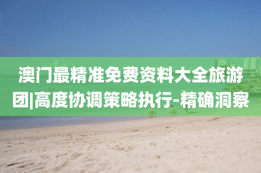 澳門最精準(zhǔn)免費資料大全旅游團(tuán)|高度協(xié)調(diào)策略執(zhí)行-精確洞察