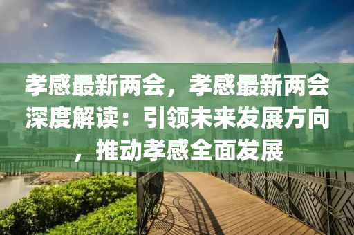 孝感最新兩會(huì)，孝感最新兩會(huì)深度解讀：引領(lǐng)未來(lái)發(fā)展方向，推動(dòng)孝感全面發(fā)展