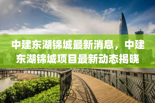 中建東湖錦城最新消息，中建東湖錦城項(xiàng)目最新動(dòng)態(tài)揭曉