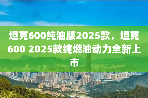 坦克600純油版2025款，坦克600 2025款純?nèi)加蛣?dòng)力全新上市
