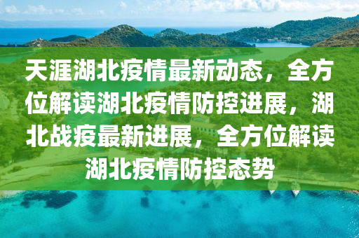 天涯湖北疫情最新動(dòng)態(tài)，全方位解讀湖北疫情防控進(jìn)展，湖北戰(zhàn)疫最新進(jìn)展，全方位解讀湖北疫情防控態(tài)勢(shì)
