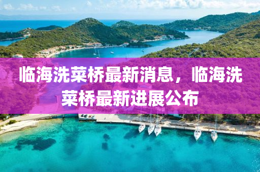 臨海洗菜橋最新消息，臨海洗菜橋最新進(jìn)展公布