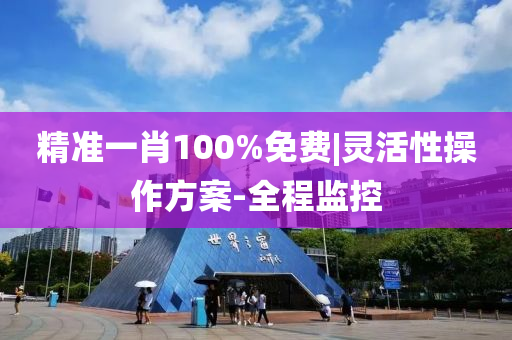 精準(zhǔn)一肖100%免費|靈活性操作方案-全程監(jiān)控