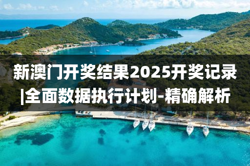 新澳門開獎結(jié)果2025開獎記錄|全面數(shù)據(jù)執(zhí)行計劃-精確解析