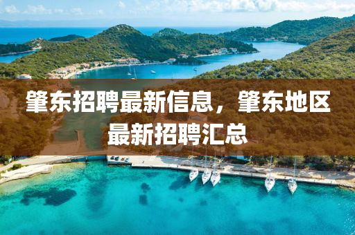肇東招聘最新信息，肇東地區(qū)最新招聘匯總