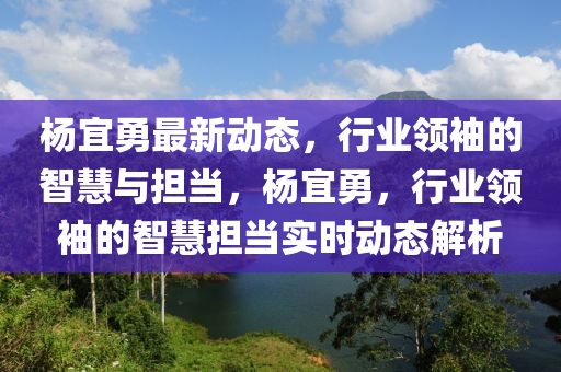 楊宜勇最新動態(tài)，行業(yè)領(lǐng)袖的智慧與擔(dān)當(dāng)，楊宜勇，行業(yè)領(lǐng)袖的智慧擔(dān)當(dāng)實(shí)時(shí)動態(tài)解析