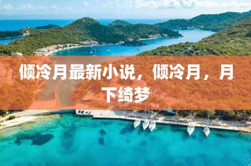 傾冷月最新小說，傾冷月，月下綺夢