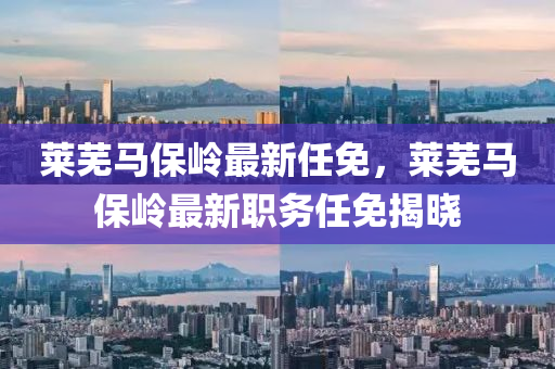 萊蕪馬保嶺最新任免，萊蕪馬保嶺最新職務(wù)任免揭曉