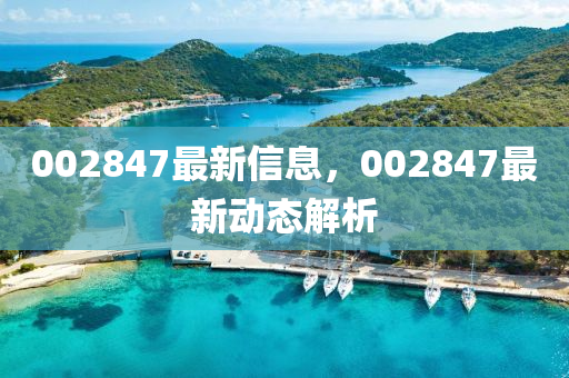 最新動(dòng)態(tài) 第28頁(yè)