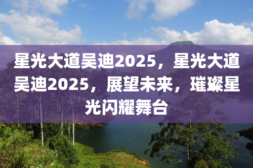 星光大道吳迪2025，星光大道吳迪2025，展望未來，璀璨星光閃耀舞臺