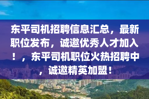 東平司機招聘信息匯總，最新職位發(fā)布，誠邀優(yōu)秀人才加入！，東平司機職位火熱招聘中，誠邀精英加盟！